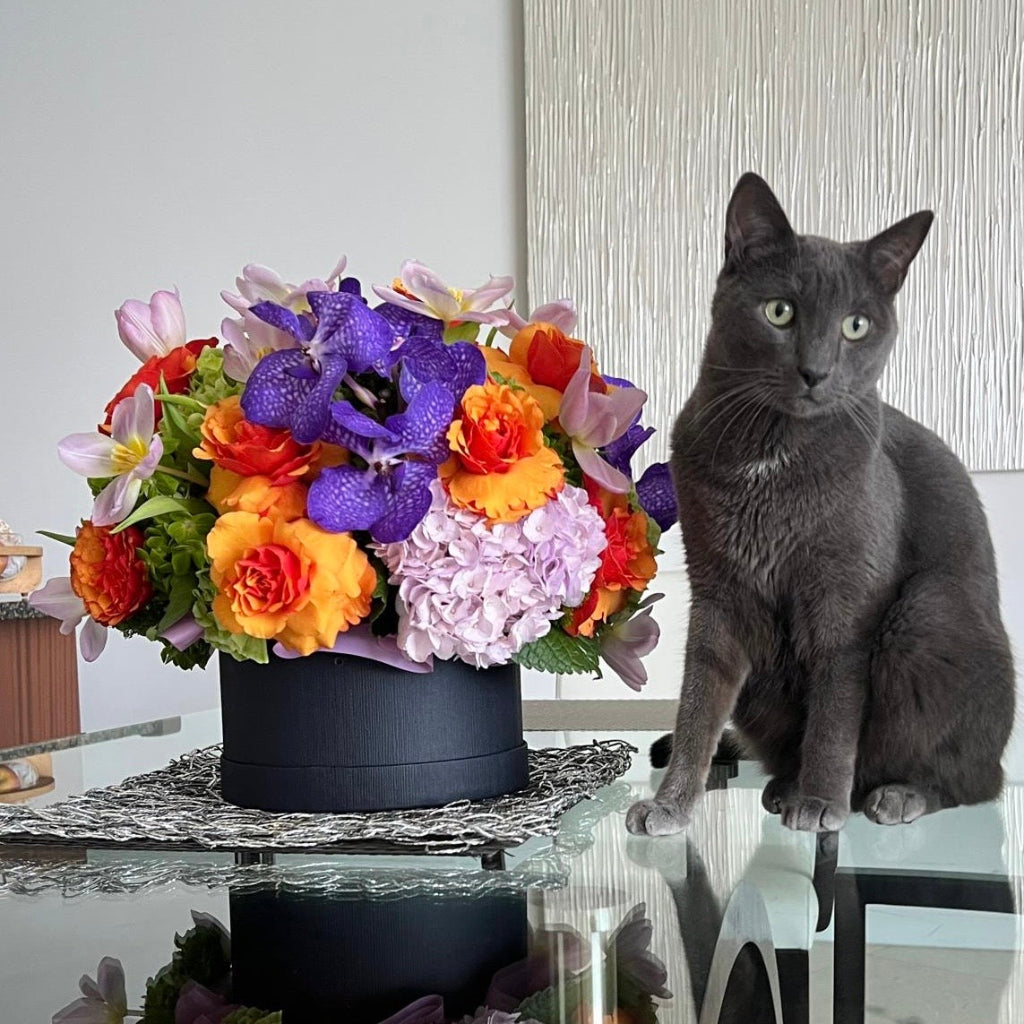 Floral Elegance