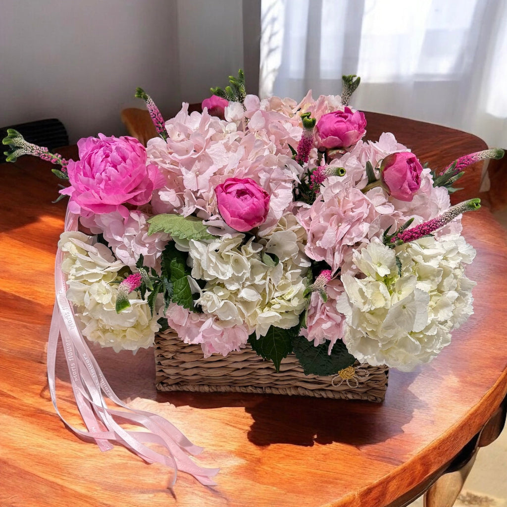 Pastel Dreams
