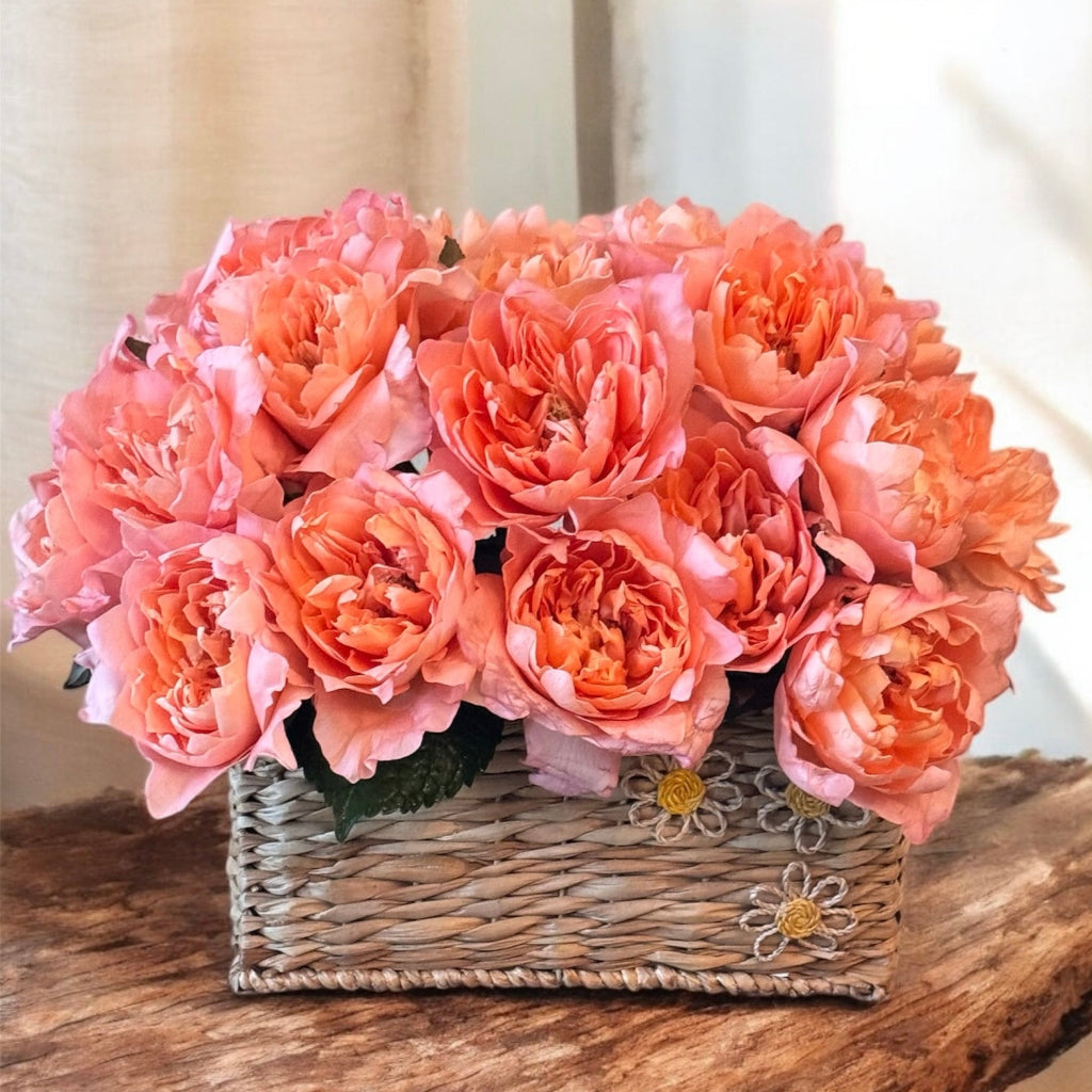 Soft Roses