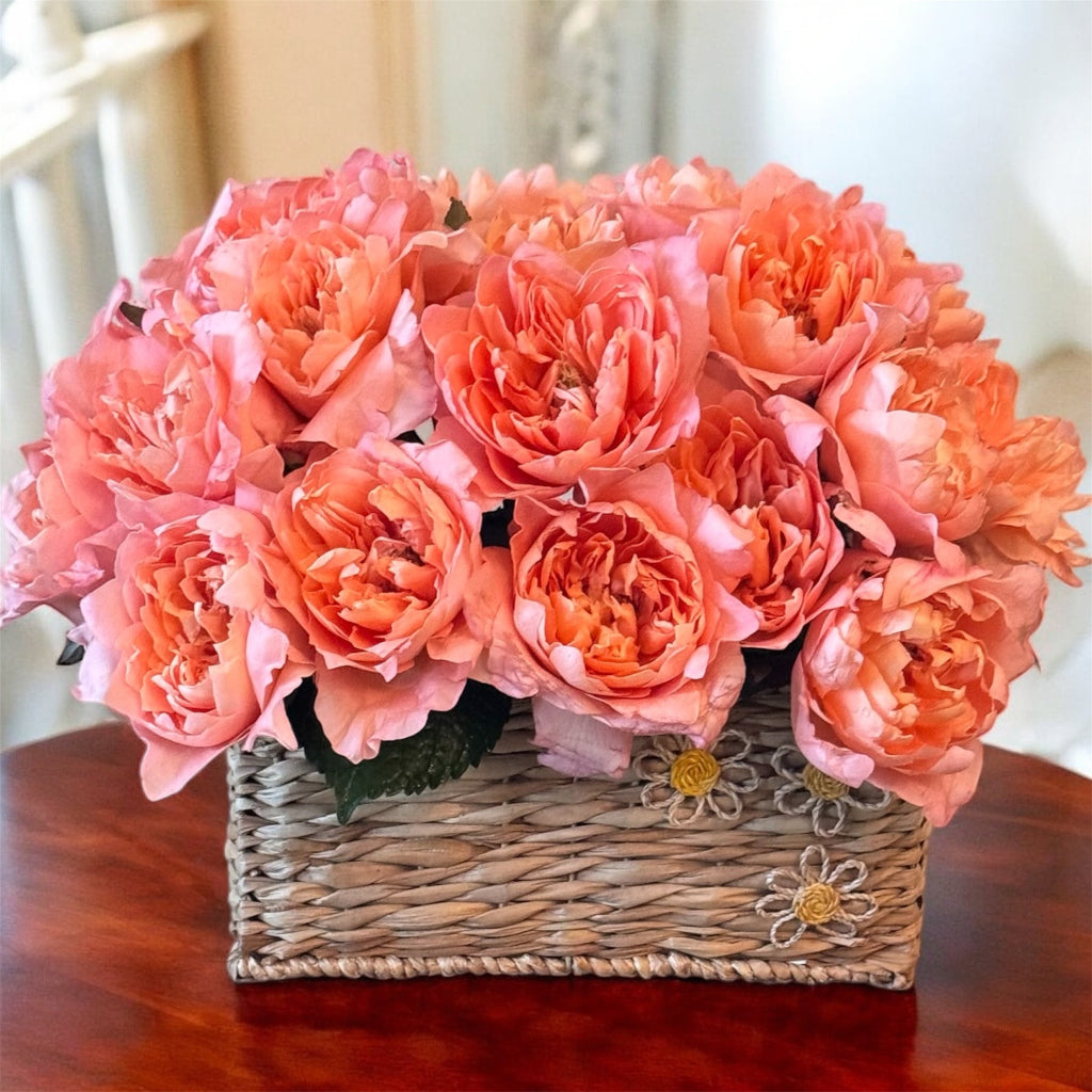 Soft Roses