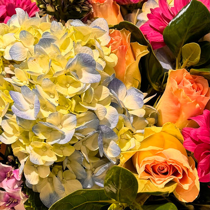 Caricias