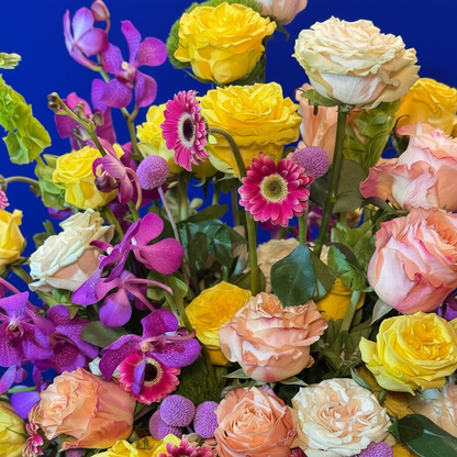Rosas Arcoíris