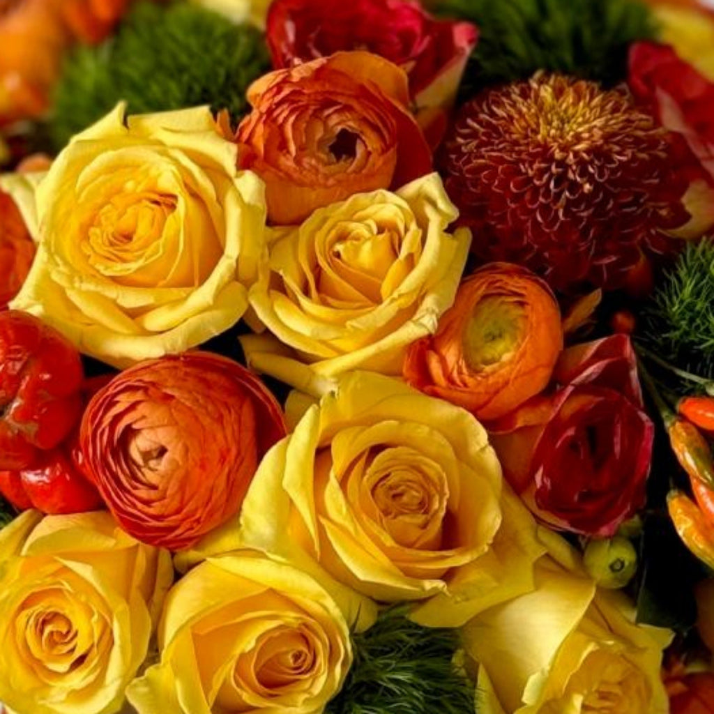 Gratitud