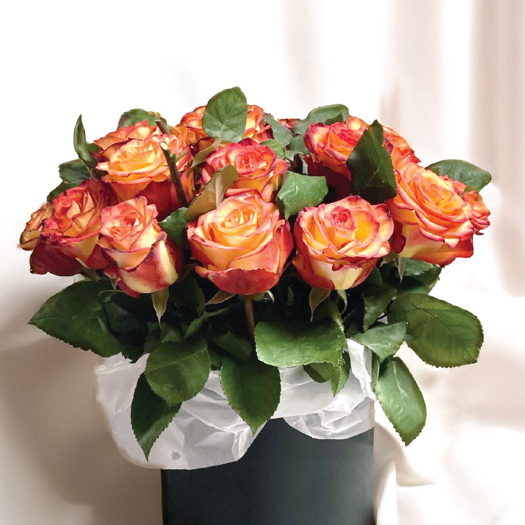 Fuego Cítrico - 24 rosas