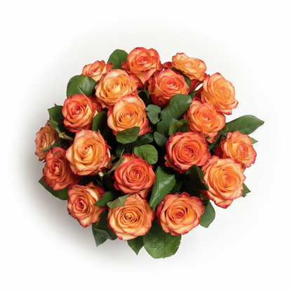 Fuego Cítrico - 24 rosas