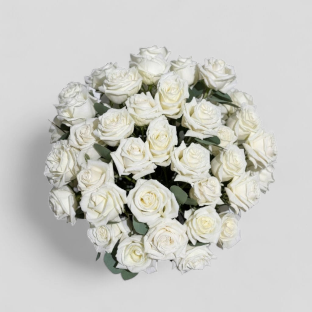 Snow Petals  50 Roses