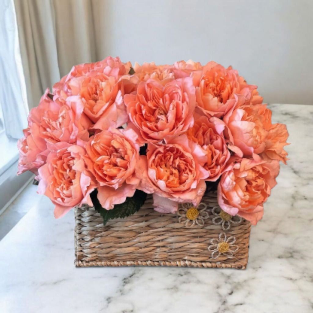 Rosas Suaves