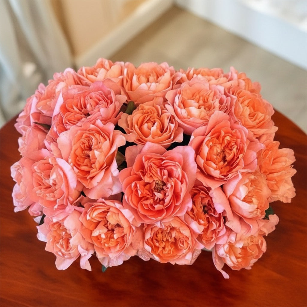 Rosas Suaves